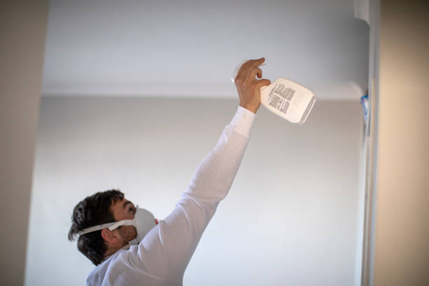 Best Home Mold Removal  in Barton, NM