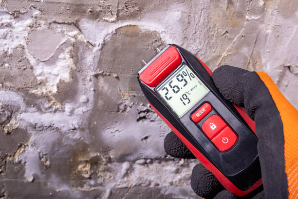 Best Mold Testing  in Barton, NM