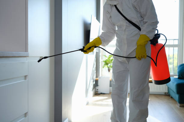 Best Professional Mold Removal  in Barton, NM