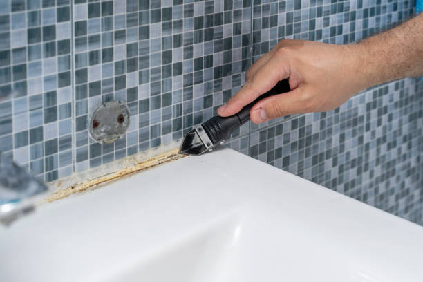 Best Attic Mold Removal  in Barton, NM